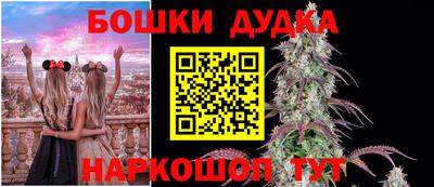 МДПВ Рыбинск
