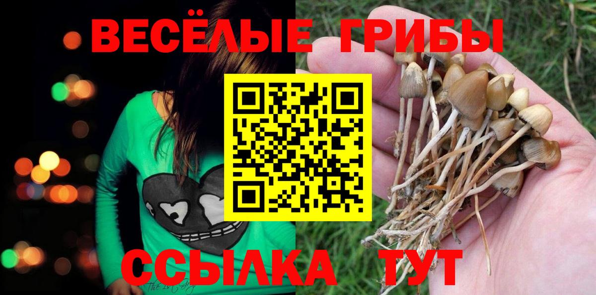 Псилоцибиновые грибы мухоморы  Вход с VPN  купить   Балахна 