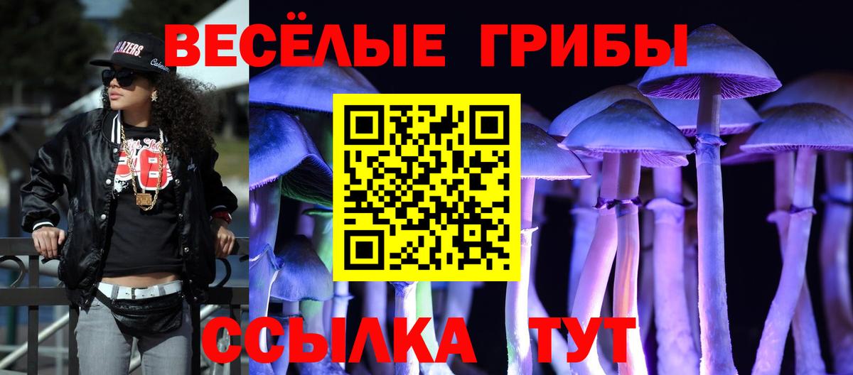 Галлюциногенные грибы GOLDEN TEACHER Балахна